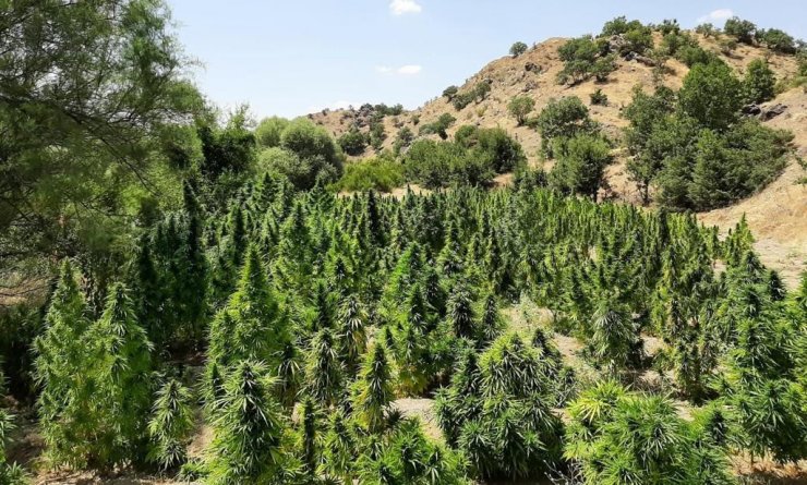 Diyarbakır'da 'Eren Abluka-30 Narko Terör' operasyonu başlatıldı