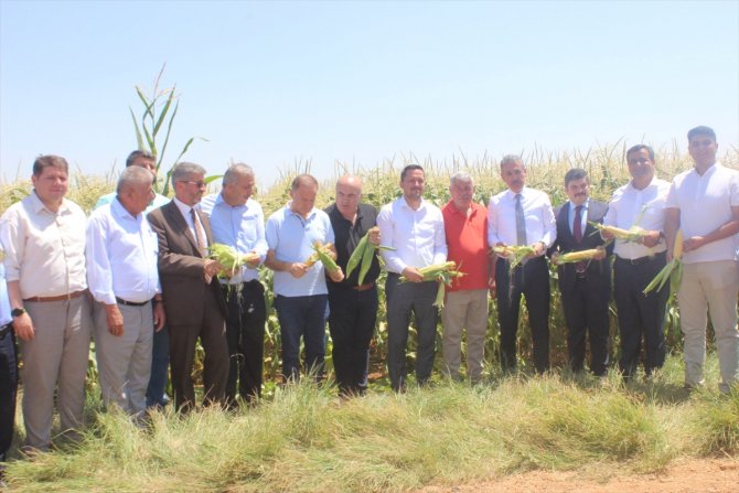 Karaman'da hasat günü etkinliği yapıldı