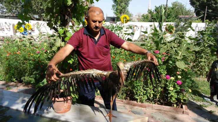 Leyleği 3 gün şampuanla yıkadı, temizleyemedi