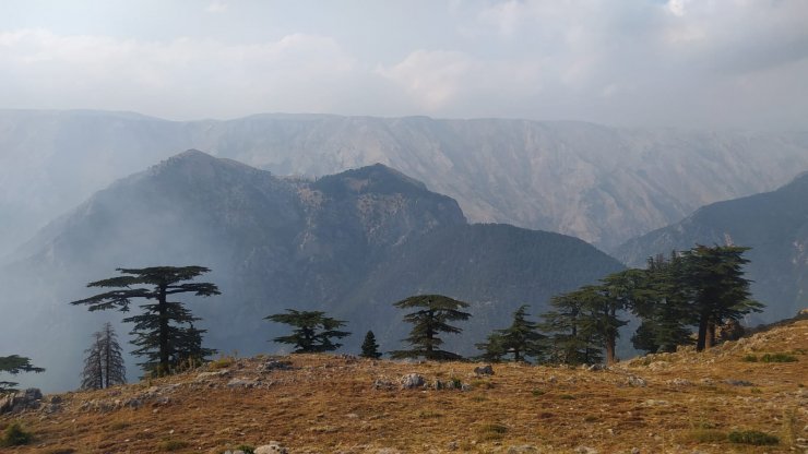 Mersin'de orman yangını 3'üncü gününde