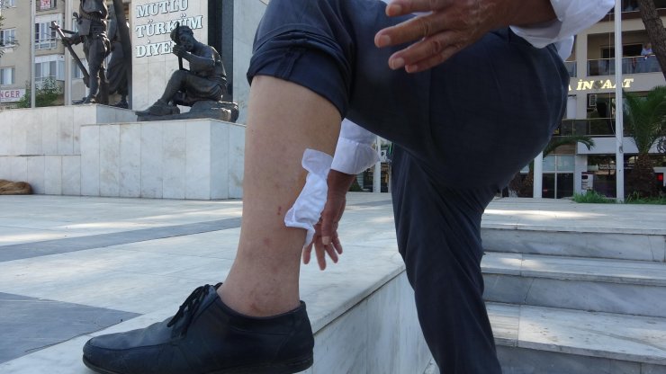 Sokak köpekleri bisikletlilere saldırdı; o anlar kamerada