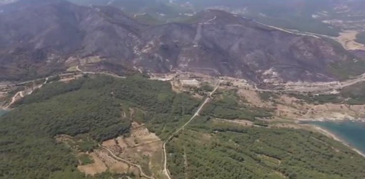 5 yıl önce 12 bin hektar ormanın yandığı alan yeşillendi