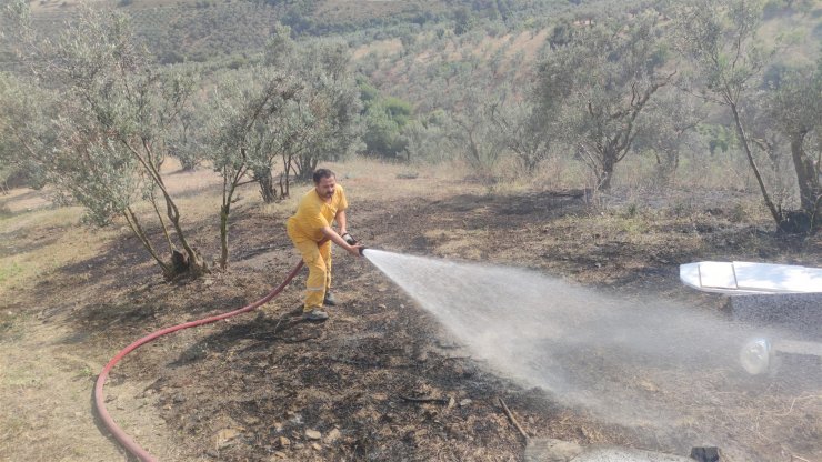 Bursa'da yangın! 10 dekar zeytinlik zarar gördü