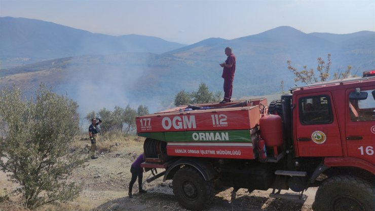 Bursa'da yangın! 10 dekar zeytinlik zarar gördü