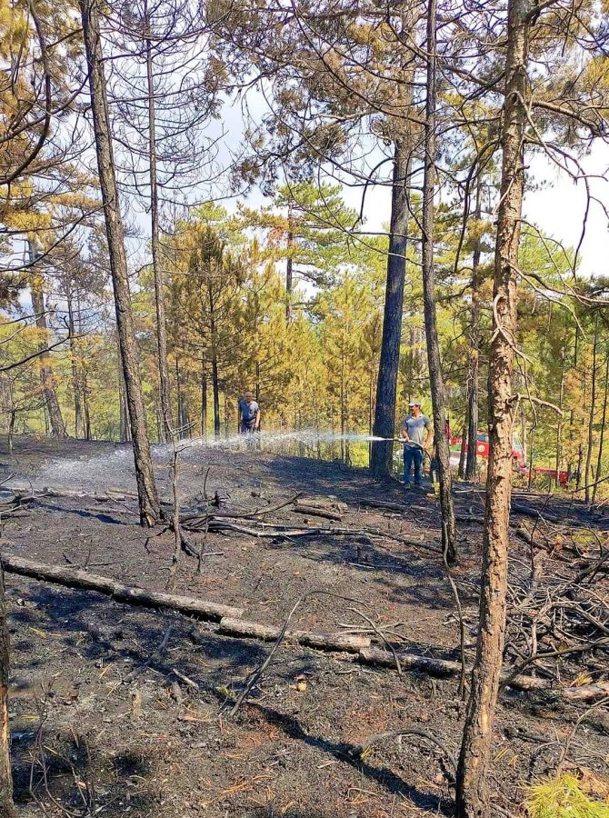 Denizli’de korkutan yangın