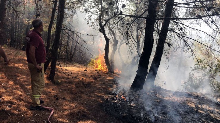 Manisa'da orman yangını