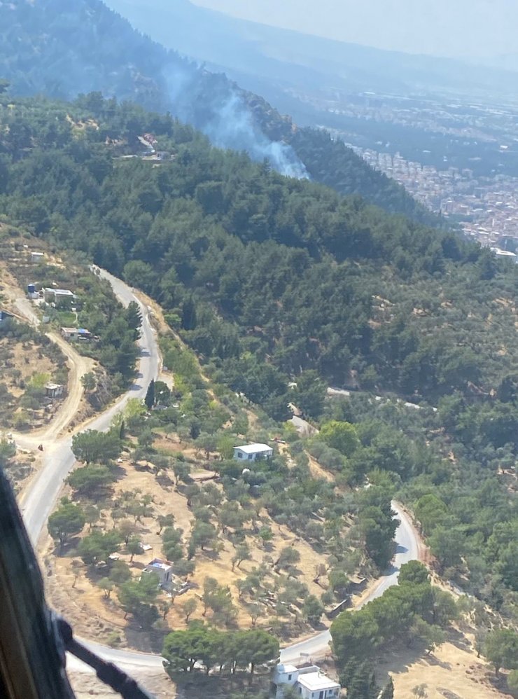 Manisa'da orman yangını