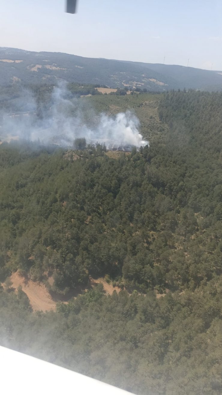 Bursa'da çıkan orman yangını söndürüldü