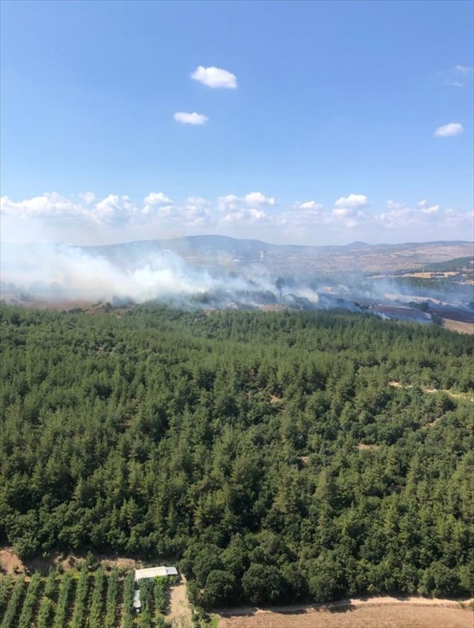 Çanakkale'de çıkan orman yangınına müdahale ediliyor