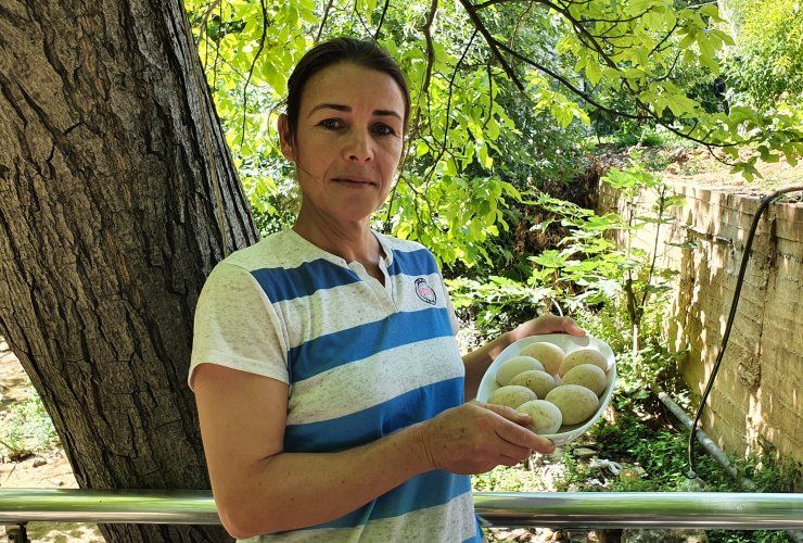 Dere kenarından ördek ve kaz yumurtası topluyor