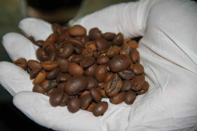 Dünyanın kahvesi Elazığ’dan