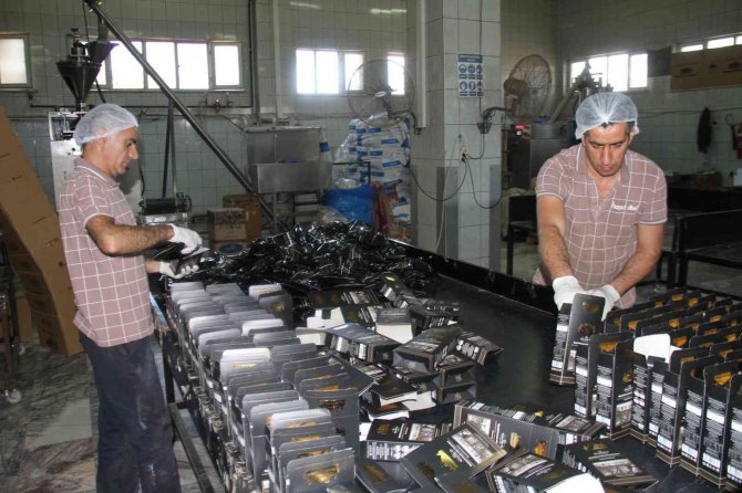 Dünyanın kahvesi Elazığ’dan