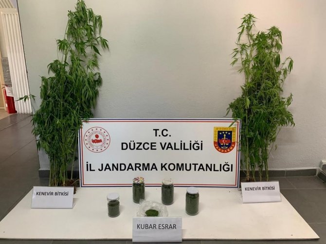 Düzce’de 51 şüpheli yakalandı