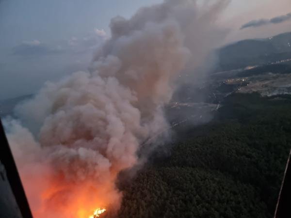 Manisa'daki orman yangını 12 saatte kontrol altında