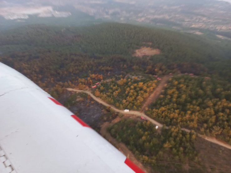 Manisa'daki orman yangını 12 saatte kontrol altında