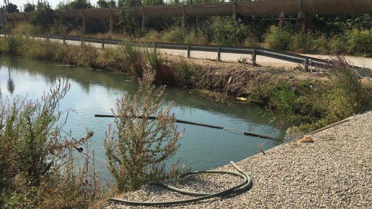 Serinlemek için ayaklarını soktuğu sulama kanalına düşen Abdülkadir, boğuldu