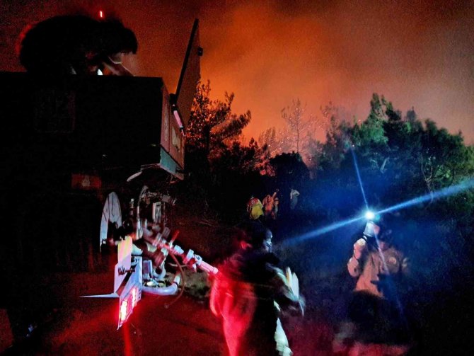 Soma’daki orman yangınında 50 hektarlık alan zarar gördü