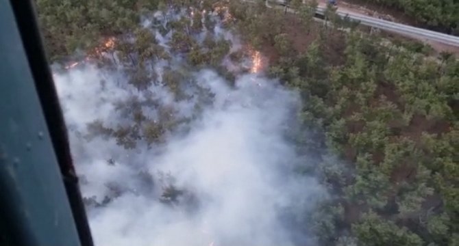 Soma’daki orman yangınında 50 hektarlık alan zarar gördü