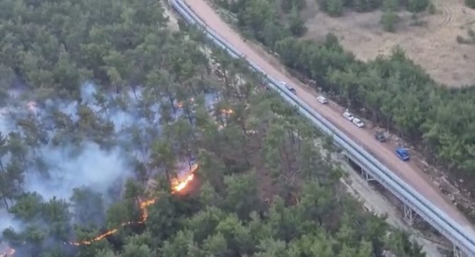 Soma’daki orman yangınında 50 hektarlık alan zarar gördü