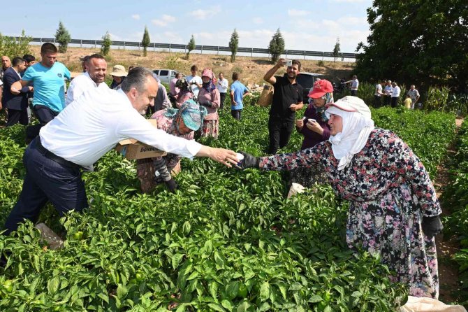 Tarlada serinleten ziyaret