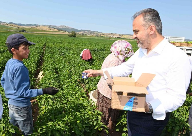 Tarlada serinleten ziyaret