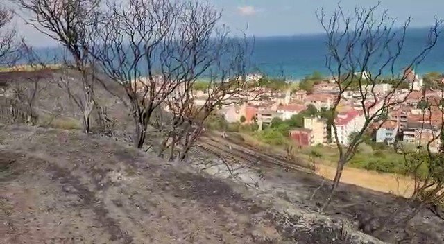 Tekirdağ’da çıkan orman yangını kontrol altına alındı