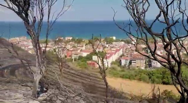 Tekirdağ’da çıkan orman yangını kontrol altına alındı