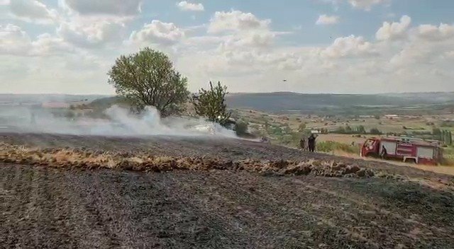 Tekirdağ’da çıkan orman yangını kontrol altına alındı