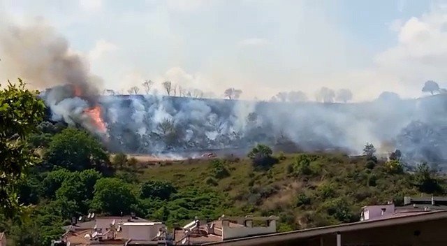 Tekirdağ’da çıkan orman yangını kontrol altına alındı