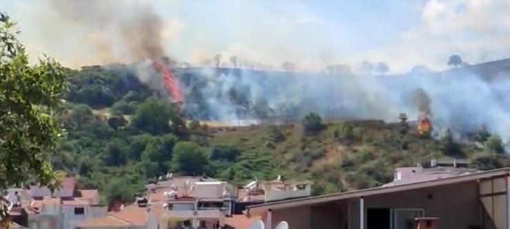 Tekirdağ'da orman yangını; yerleşim alanına sıçramadan söndürüldü