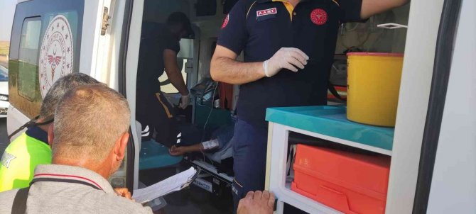 Trafik kazası: 3 yaralı