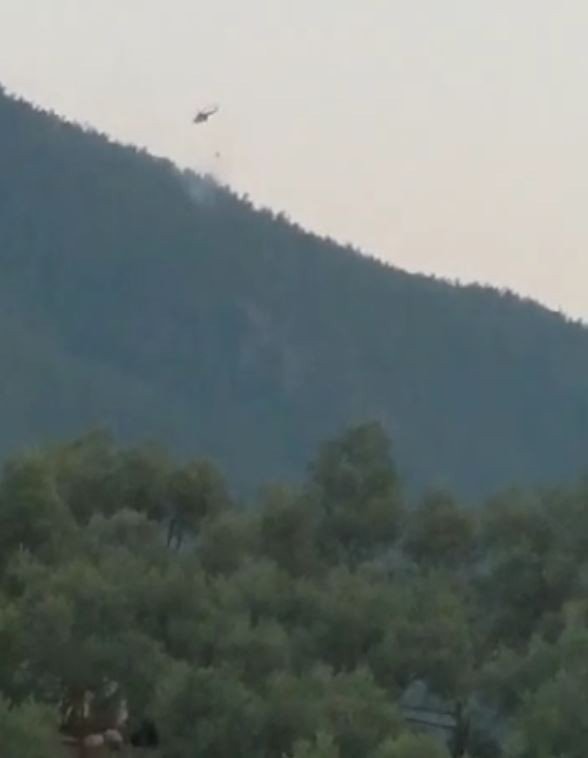 Yıldırım yangını büyümeden söndürüldü