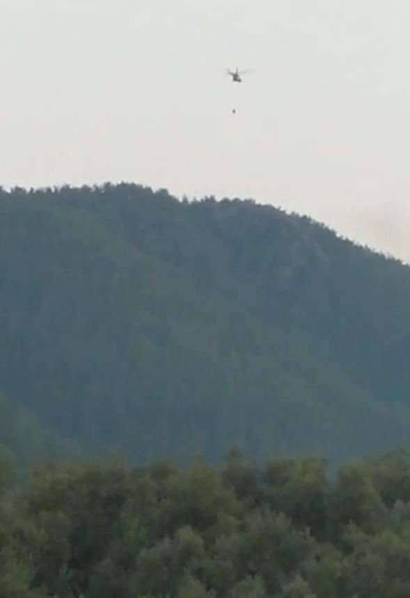 Yıldırım yangını büyümeden söndürüldü