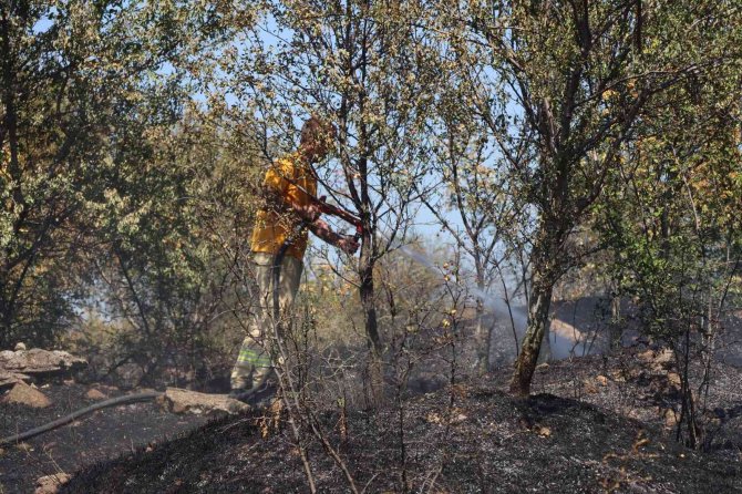 Anız yangını kapalı cezaevine sıçramadan söndürüldü
