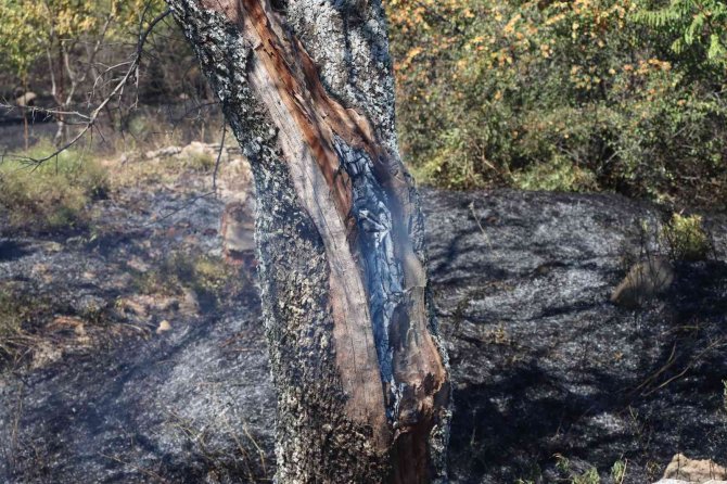 Anız yangını kapalı cezaevine sıçramadan söndürüldü