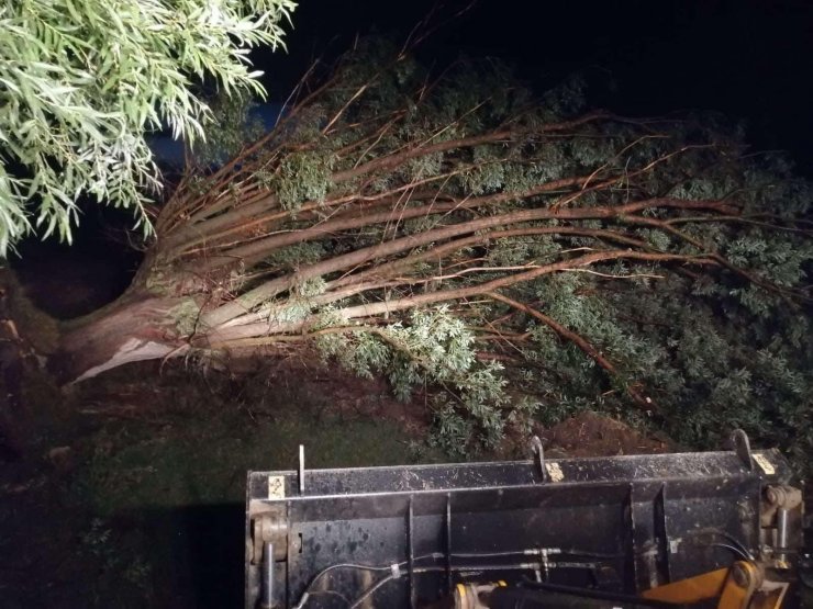 Eskişehir'de kuvvetli rüzgarda çadırlar yıkıldı, ağaçlar devrildi