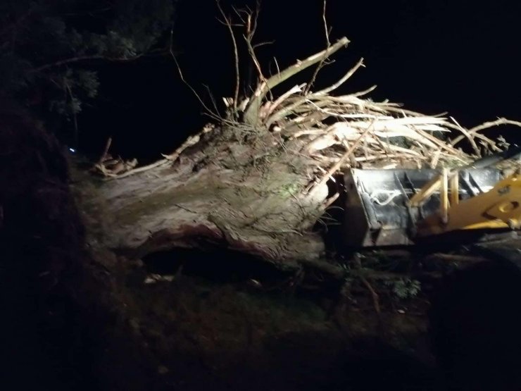 Eskişehir'de kuvvetli rüzgarda çadırlar yıkıldı, ağaçlar devrildi