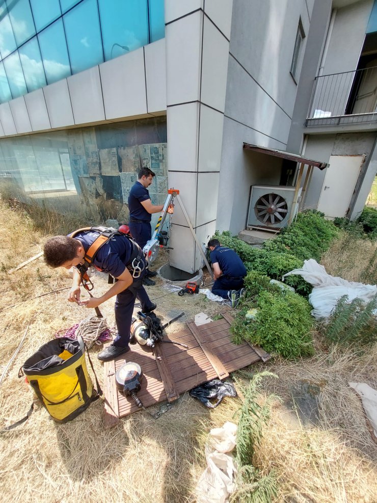 Maltepe'de 10 gün süren yavru kedi kurtarma operasyonu