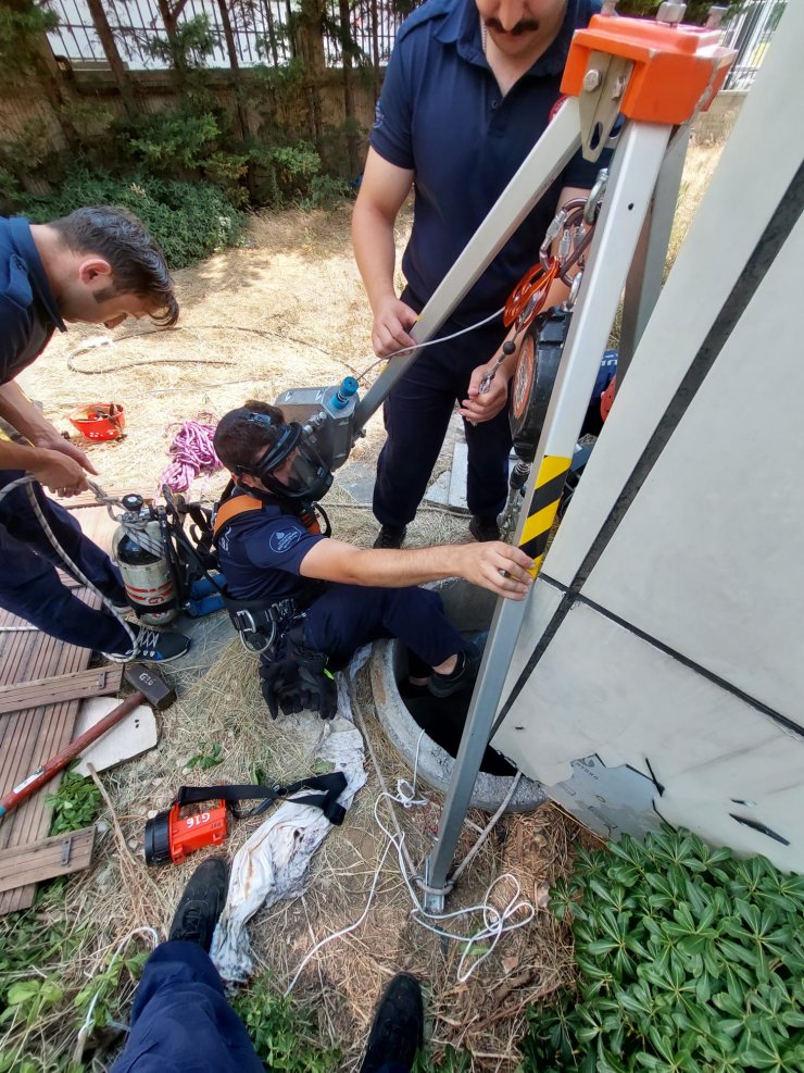 Maltepe'de 10 gün süren yavru kedi kurtarma operasyonu