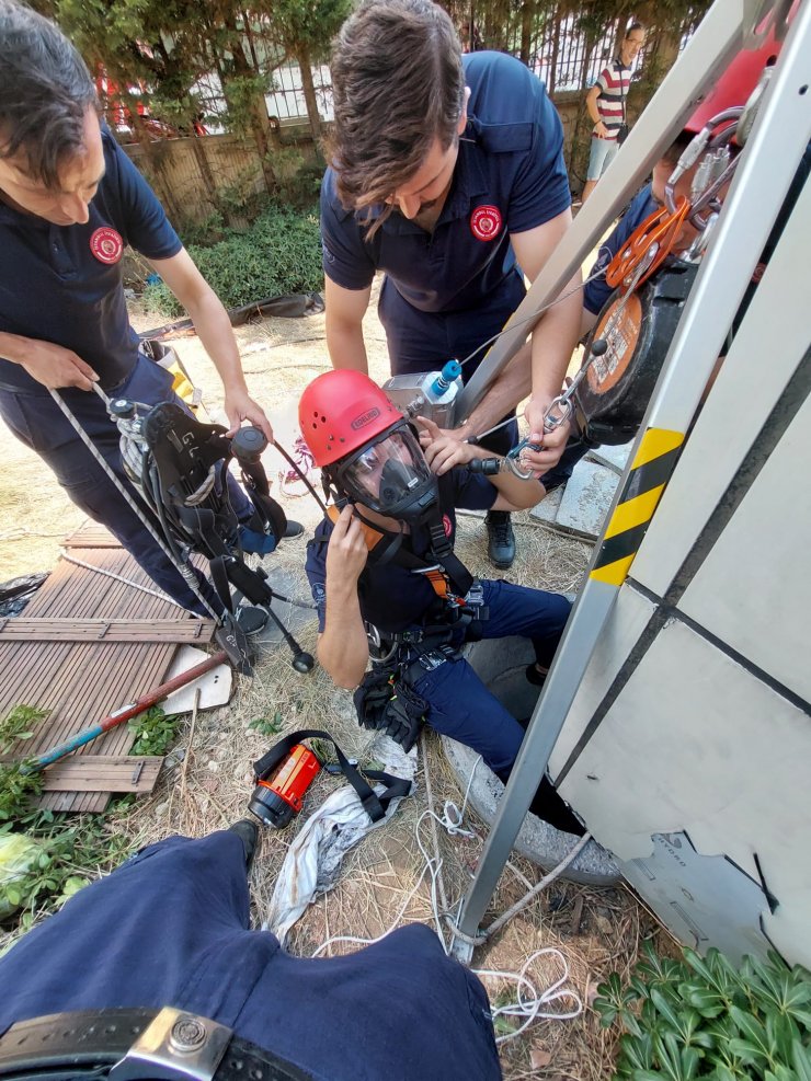 Maltepe'de 10 gün süren yavru kedi kurtarma operasyonu