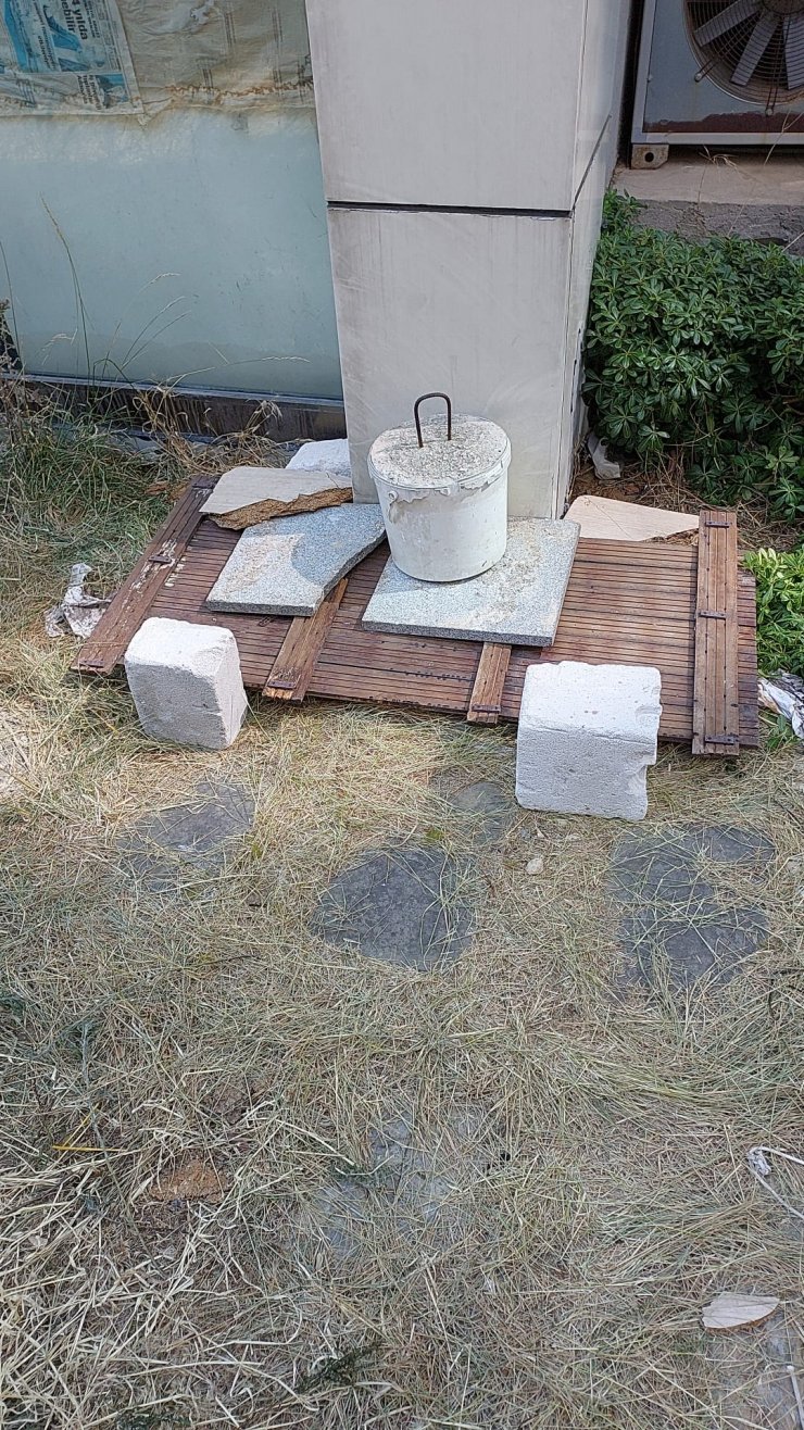 Maltepe'de 10 gün süren yavru kedi kurtarma operasyonu