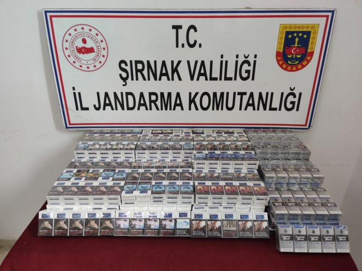 Şırnak ve sınır kapısında kaçakçılık operasyonlarına 3 tutuklama