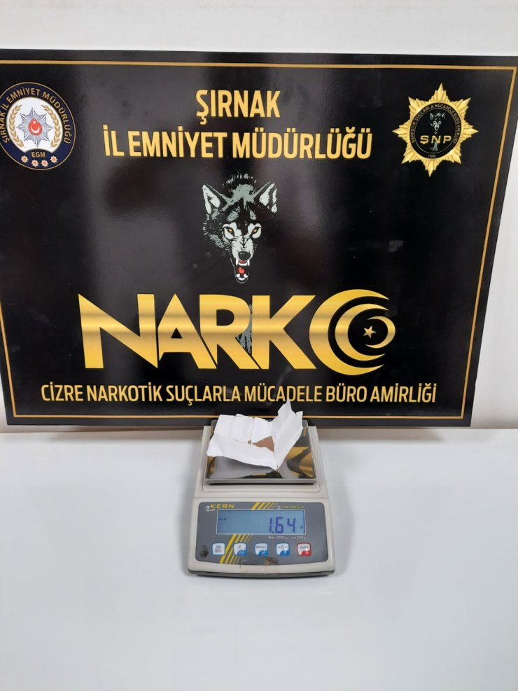 Şırnak ve sınır kapısında kaçakçılık operasyonlarına 3 tutuklama