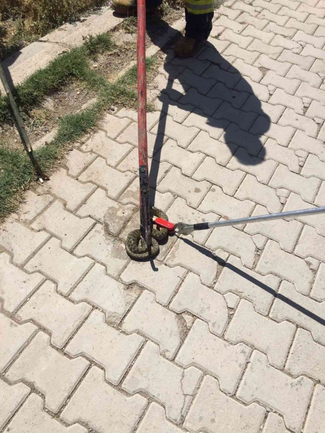 Sokak ortasındaki yılanı itfaiye ekipleri yakaladı