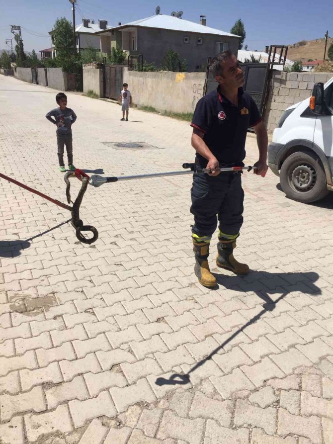 Sokak ortasındaki yılanı itfaiye ekipleri yakaladı