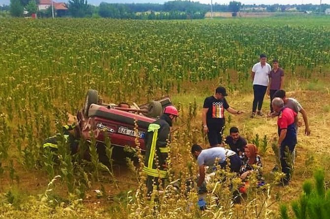 Yoldan çıkan otomobil tütün tarlasına uçtu