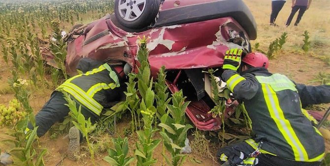 Yoldan çıkan otomobil tütün tarlasına uçtu