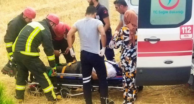 Yoldan çıkan otomobil tütün tarlasına uçtu