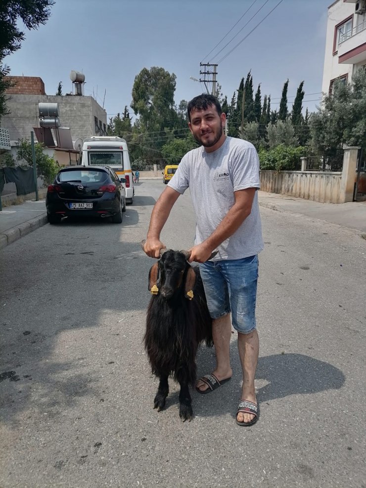 2 ölümlü kazaya neden olan sürücü, 2'nci kez yapılan itiraz üzerine tutuklandı