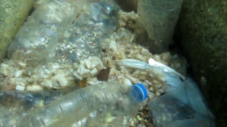 Akdeniz ekosistemine 'izmarit' tehdidi